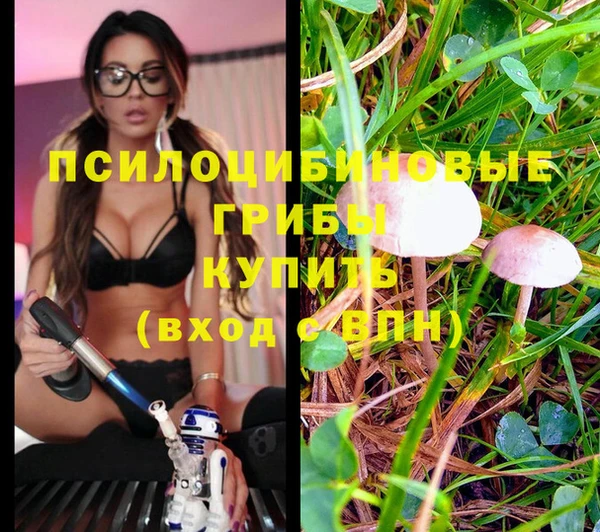 MDMA Premium VHQ Арсеньев