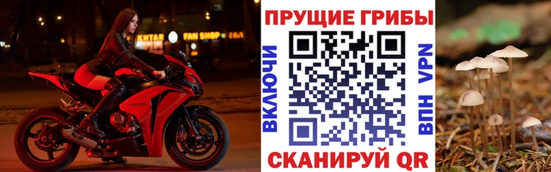 Псилоцибиновые грибы GOLDEN TEACHER  Купить закладки  Боровичи 